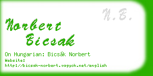 norbert bicsak business card