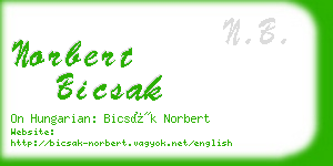 norbert bicsak business card